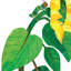 Painting on Canvas-313990851
