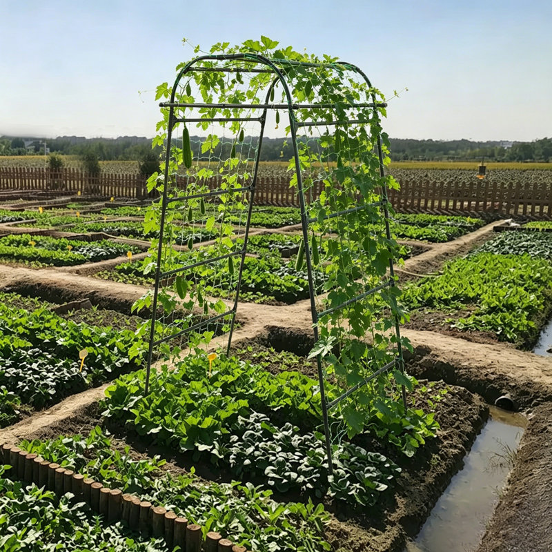 Treillis arqué pour jardin, treillis arqué pour plantes grimpantes, treillis de support pour plantes en forme d'arche