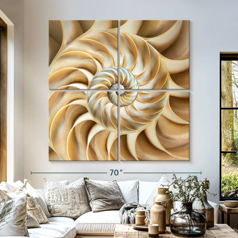 Aletra Nautilus Symmetry