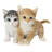 Kittens Sitting Together