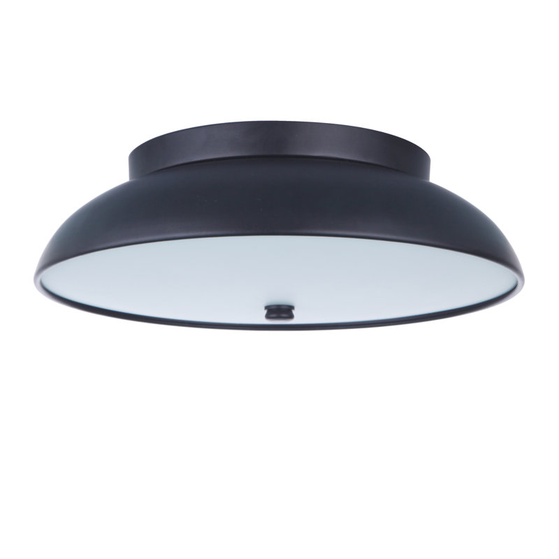 Flat Black Frosted Acrylic LED Flush Mount Light
