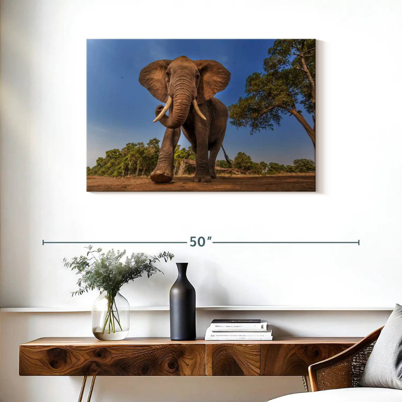 Brampt Playful African Elephant, 24" H x 36" W