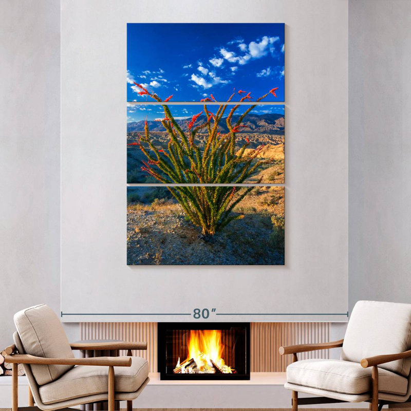 Aaric Ocotillo In Anza Borrego, 74" H x 48" W