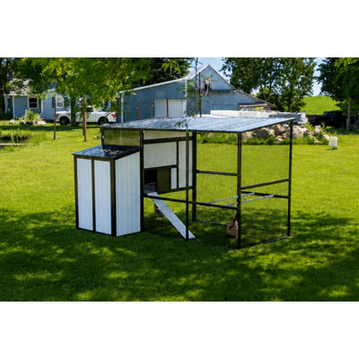 Grand poulailler Modern Ultraguard