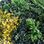 Greenwall 100 cm H Faux Plant