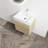 Aldo 24-Inch Wall-Mounted Vanity-1750804348