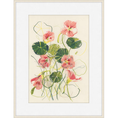 Nasturtium 1 Print