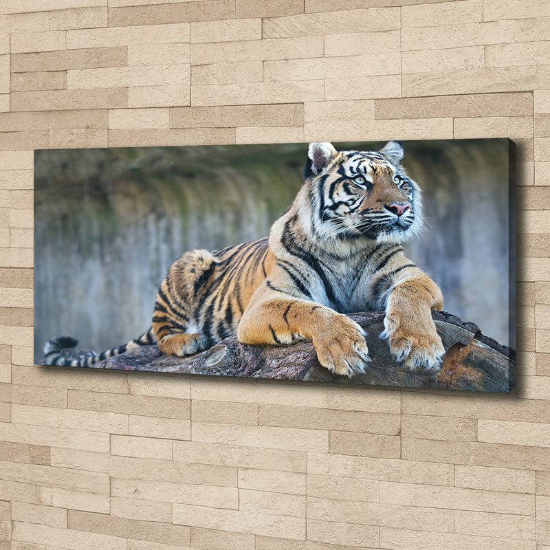 Tiger - No Frame Print on Canvas
