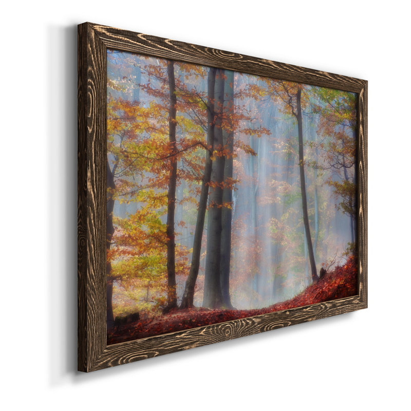 Always Magic Around - Floater Frame, reproduction d'art sur toile, H 20 po x l 17 po x P 1,5 po, Toile avec cadre en noyer