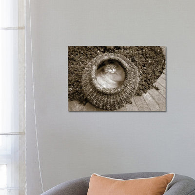 Cat In A Basket by Jim Dratfield - Wrapped Canvas Print