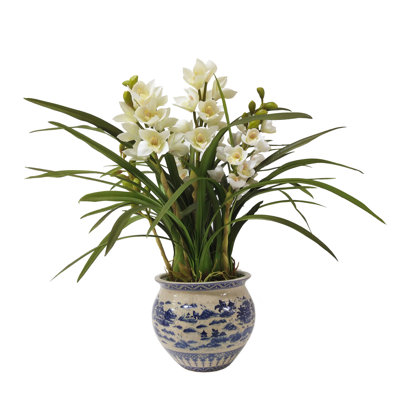 Faux Silk Orchid Arrangement in Pot
