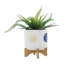 Jardinière avec support et trou de drainage pour patio, salon et jardin