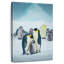 Pingouins sur glace-1516284451