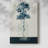Bottled Lace I -Gallery Wrapped Cavas-1139630759