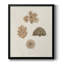 Coquillages Knorr et toile de corail de qualité supérieure - prêt à accrocher-100454479-100454480