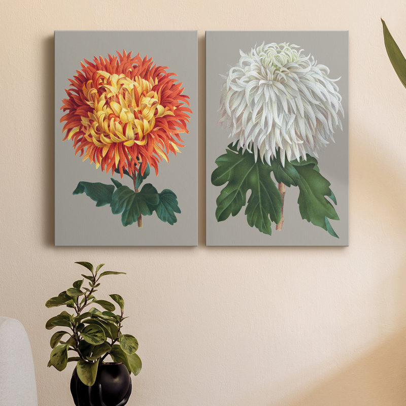 «Chrysanthemum on Grey I», ensemble de 2 reproductions d'art, H 48 po x l 64 po x P 1 po, Toile tendue, Pas de tapis