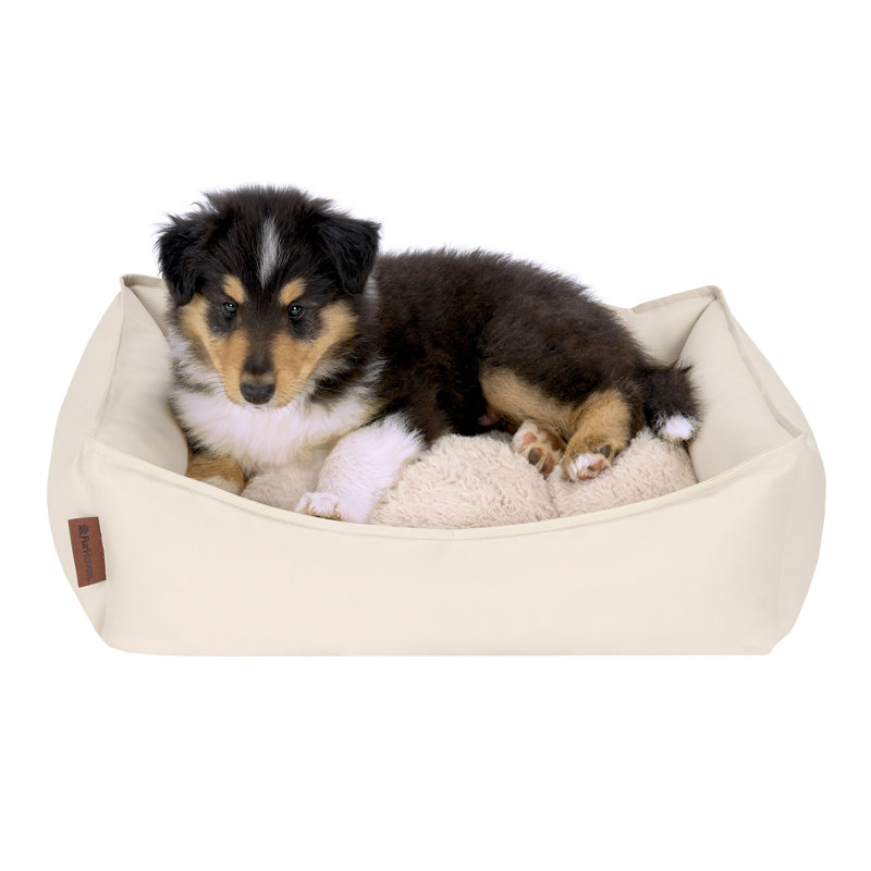 Leather Look Cozy Couch Dog Bed, 6.5" H x 23" W x 18" D, Bone
