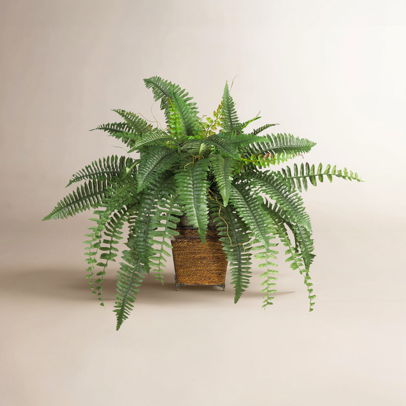 23'' Faux Fern Plant in Wicker/Rattan Pot