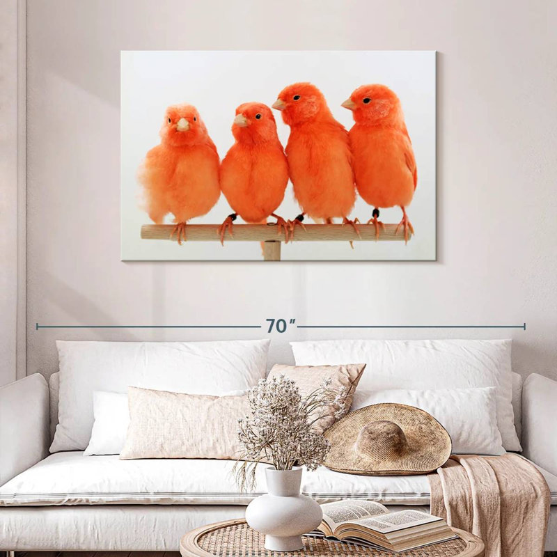 Canari rouge Brampt, H 30 po x l 45 po