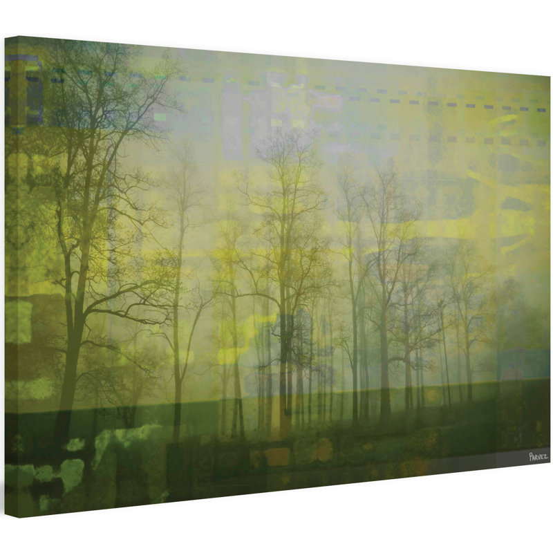 Parvez Taj - Wrapped Canvas Print, 51cm H x 76cm W