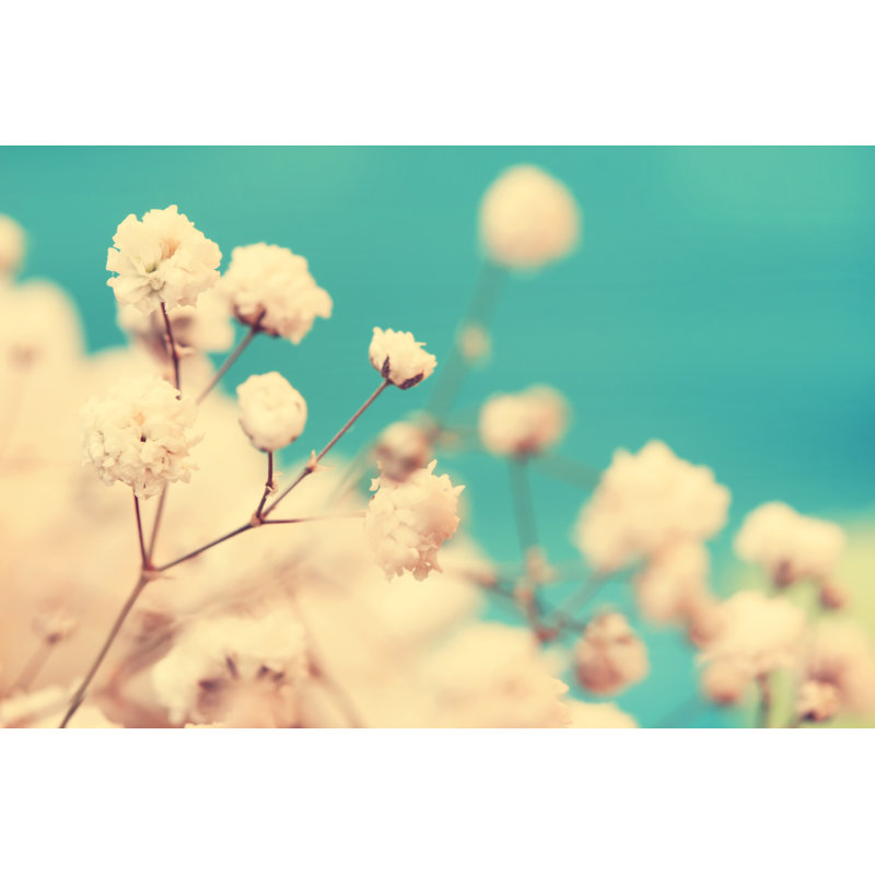 Cute Small Flowers Close Up - Wrapped Canvas Print, 30cm H x 46cm W