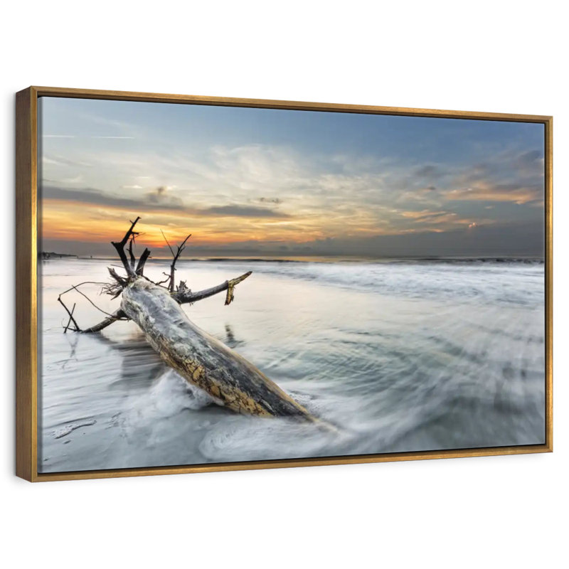 Bois de grève Hilton Vincente, Cadre flottant doré, 19 po x 13 po