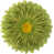 Vert lime ‑ velours