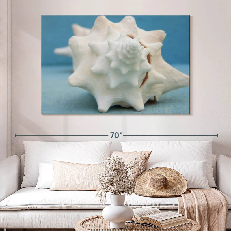 White conch seashell Aletra, H 34 po x l 51 po