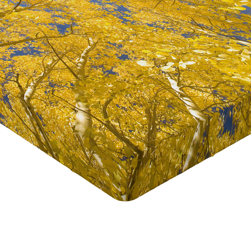 Drap-housse Ambesonne, California King Sheet Set