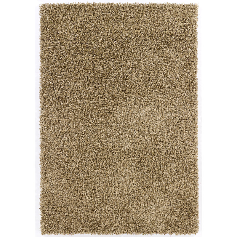 Lydia Authentic Hand-Woven Handmade Modern Ribbon Shag Polyester Area Rug, Rectangle 5' x 7'6", Brown/Tan