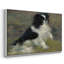 Tama, le chien japonais, v. 1876 - Pierre-Auguste Renoir, toile tendue avec châssis-132875033-132875040