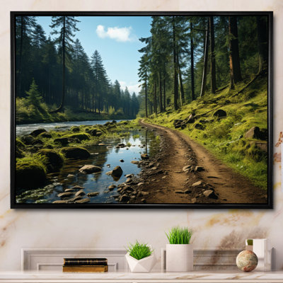 «USA Siuslaw National Forest Oregon», reproduction sur toile