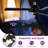 Caprise 52'' Ceiling Fan with LED Lights-951452667-971734226