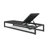 Roberson Outdoor Metal Chaise Lounge Set-1911430284