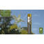 35'' H Metal Animals Weathervane