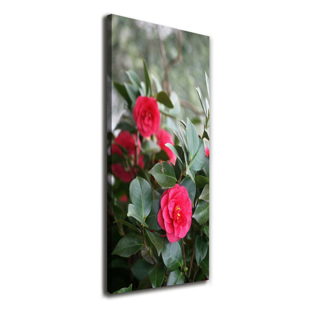 Camellia - Kunstdrucke auf Leinwand - Wrapped Canvas