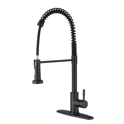Kitchen Faucet With Pull Out Spraye