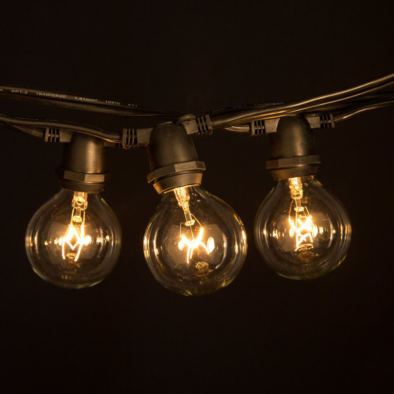 Outdoor 80 - Bulb 100'' Plug-in Globe String Light, Black