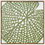 Lily Pad-1503078456-1503078853-1503078861
