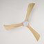 Ventilateur de plafond 52 po avec lumières-903751153-903751166