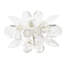 Spectra Napkin Ring Set-917278208