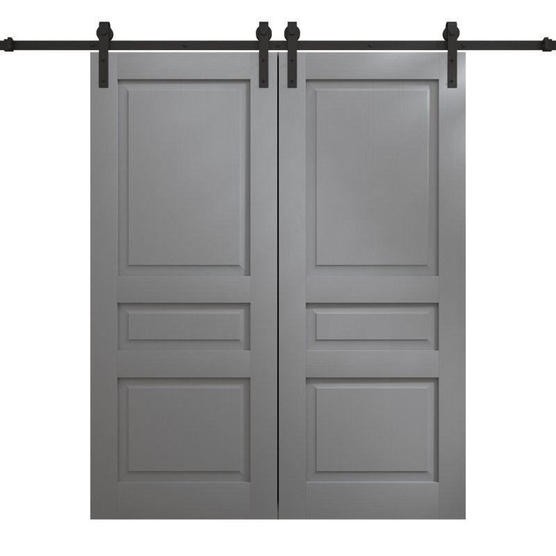 Porte de grange double moderne | Ego 5012 | Ensemble de rail | Portes intérieures solides, Chêne gris peint, 48 po x 80 po