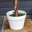 90cm Faux Flowering Tree in Pot