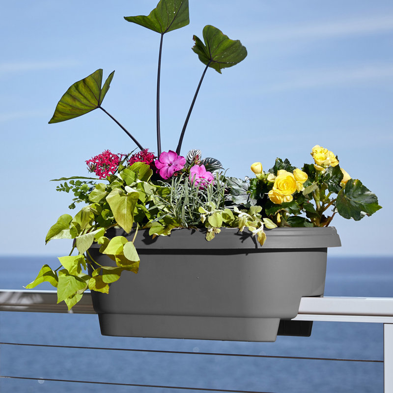 Classic Deck Rail Traditional Plastic Indoor/Outdoor Wide Oval Planter, Charcoal, 9" H x 24" W x 12" D