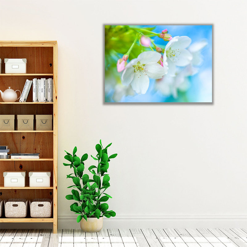 Cherry Blossom - Canvas Print Wall Art, 12" H x 16" W