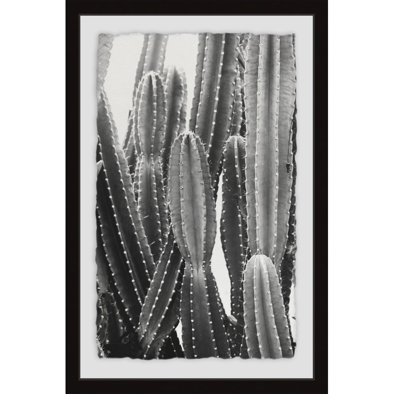 Voiliers blancs, cactus rétro, impression encadrée sur papier, H 18 po x l 12 po x P 1,5 po