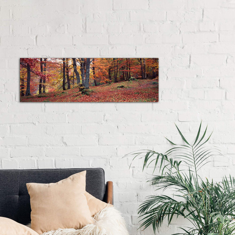 Beech Trees In Autumn, Aberfeldy, Perth And Kinross, Scotland - Wrapped Canvas Panoramic Print