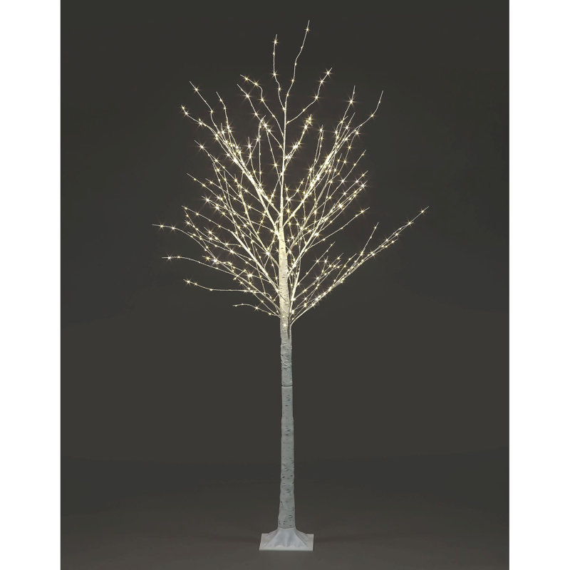 Angielina Indoor / Outdoor Lighted Trees & Branches