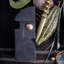 Cubist Bookend One - Black+Gold