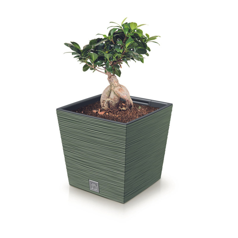 Wood Planter Box